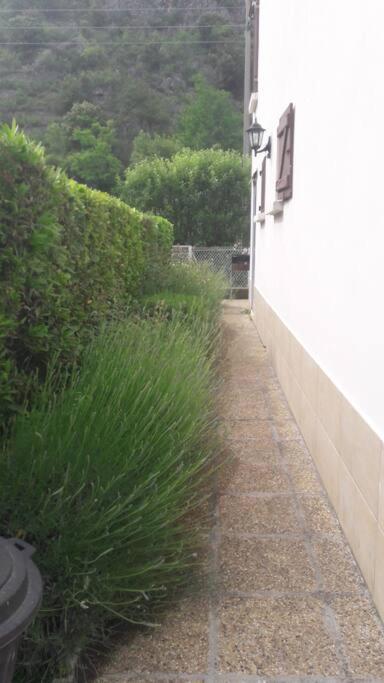 Jolie Maison Avec Jardin Villa Villefranche-de-Conflent Luaran gambar